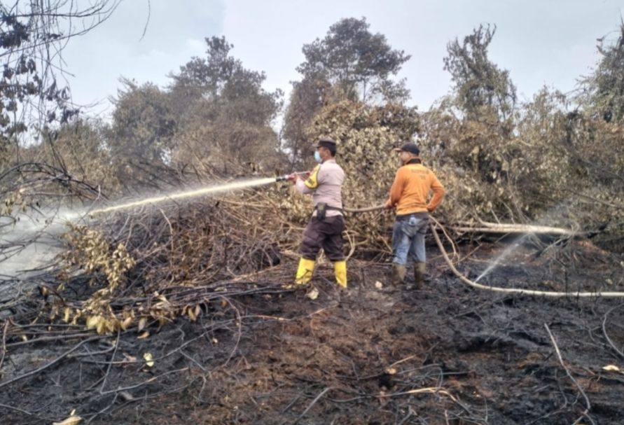 10 Hektar Lahan di Inhu Terbakar, Siang Malam Tim Lakukan Pemadaman