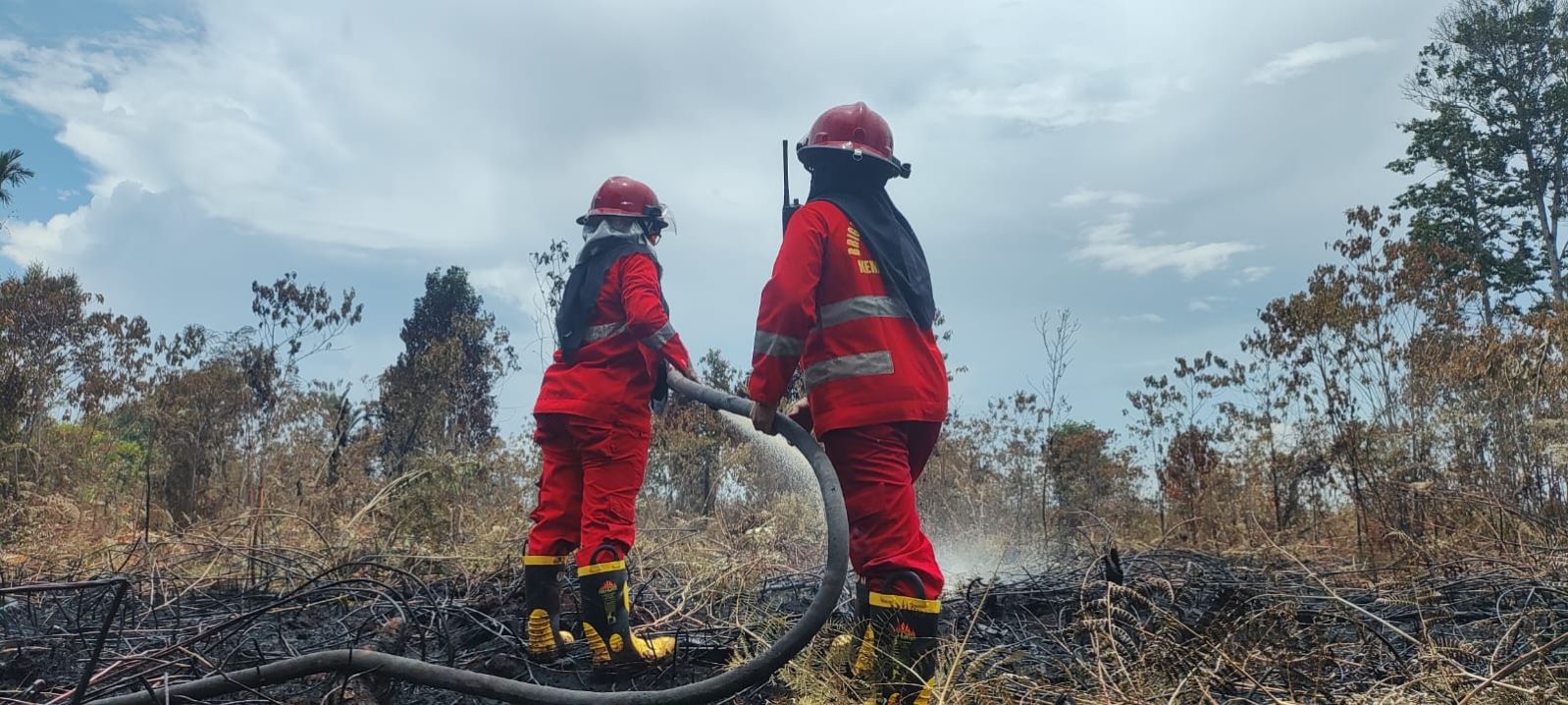 131 Hektar Hutan dan Lahan Terbakar di Riau