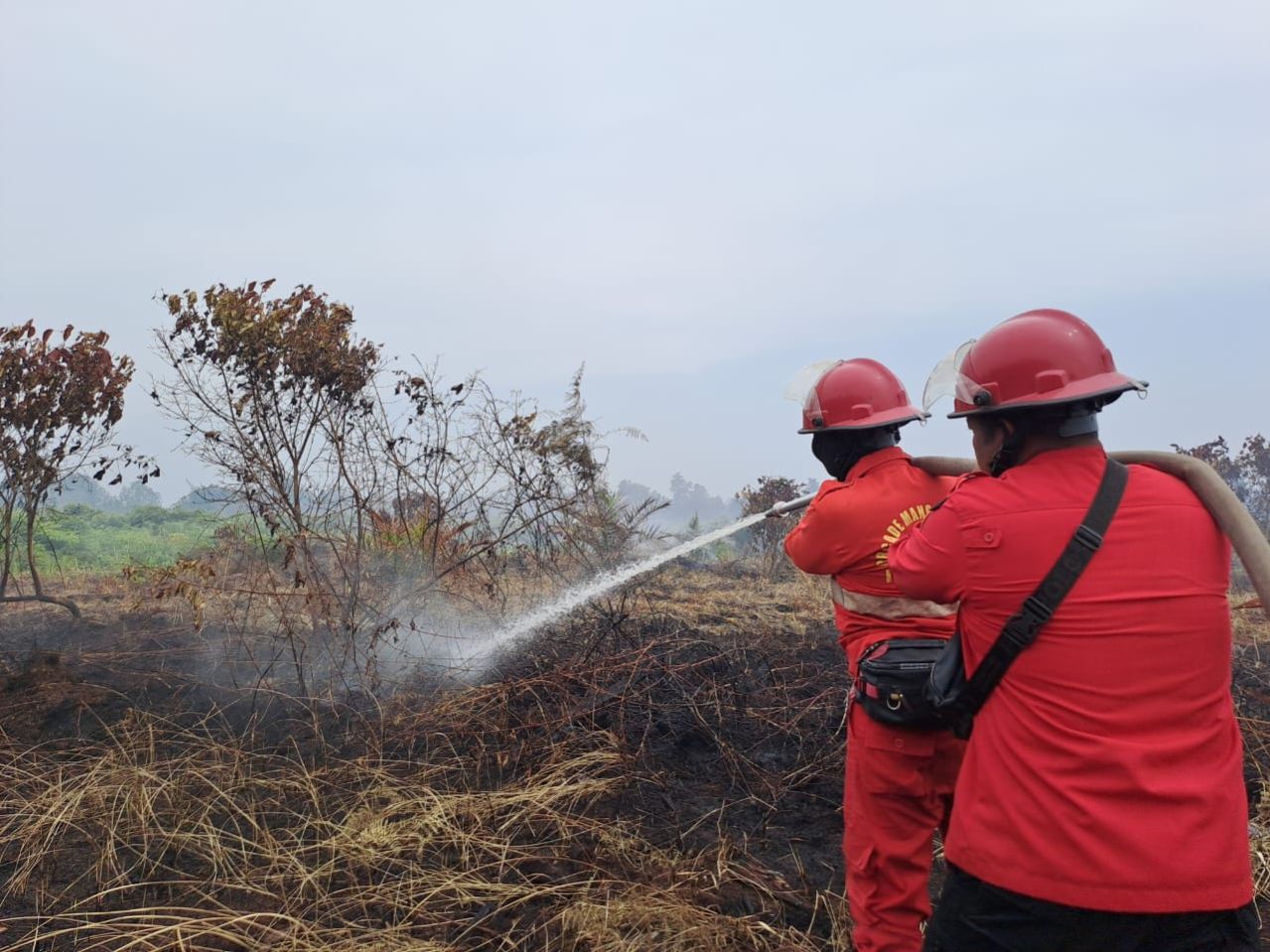 3 Hektar Lebih Lahan di Tanjung Kuras Terbakar