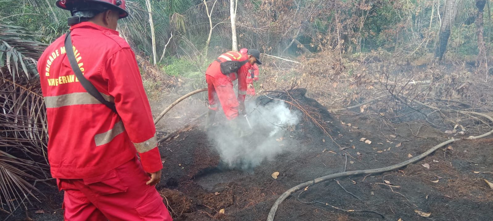 3 Helikopter Dikerahkan untuk Padamkan Karhutla di Siak