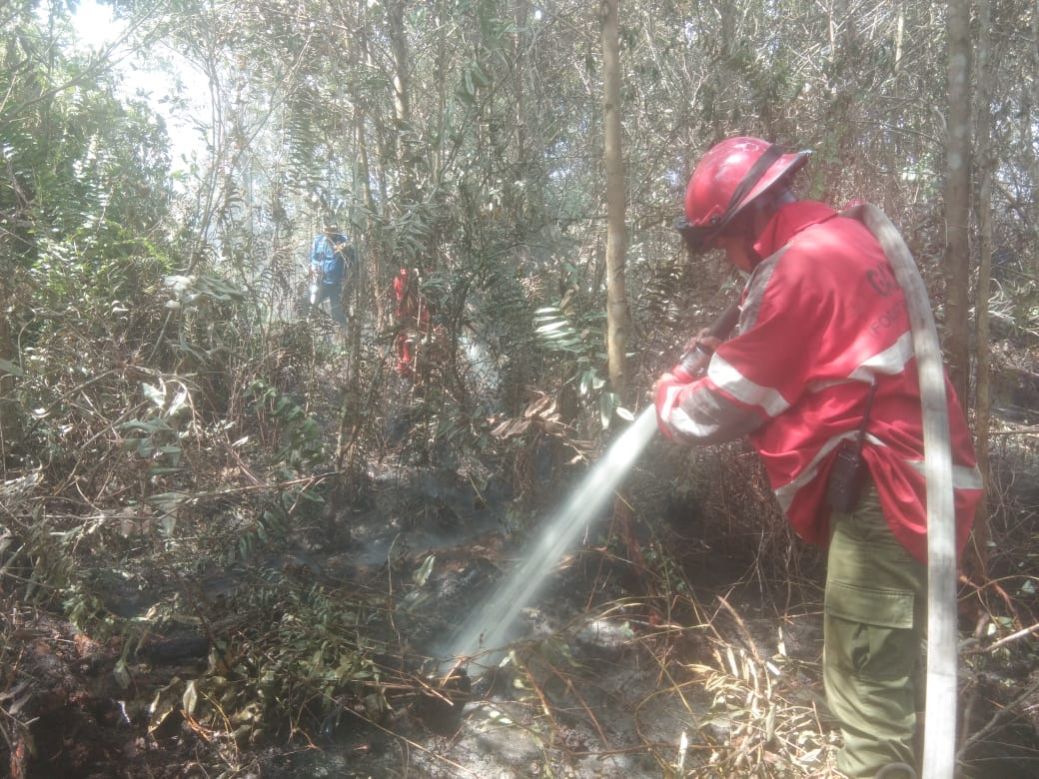 4 Hektar Lahan Terbakar di Kepulauan Meranti, 2 Hektar Berhasil Dipadamkan