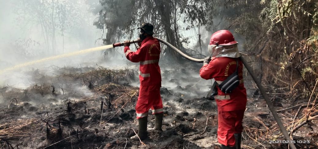 6 Hektar Lebih Gambut di Kampung Teluk Lanus, Siak Terbakar
