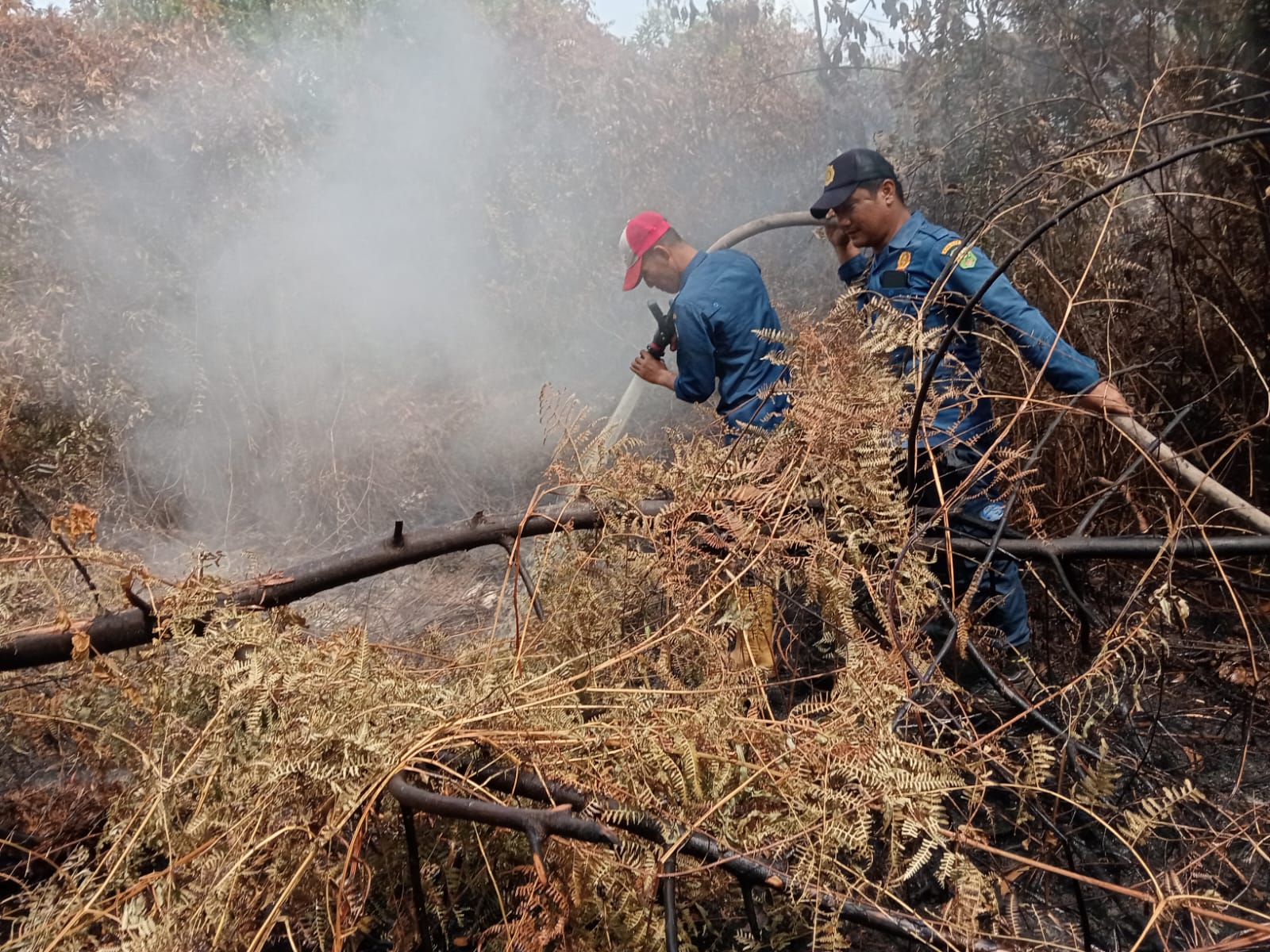 7 Ha Lahan di Sungai Apit Siak Terbakar Berhasil Dipadamkan