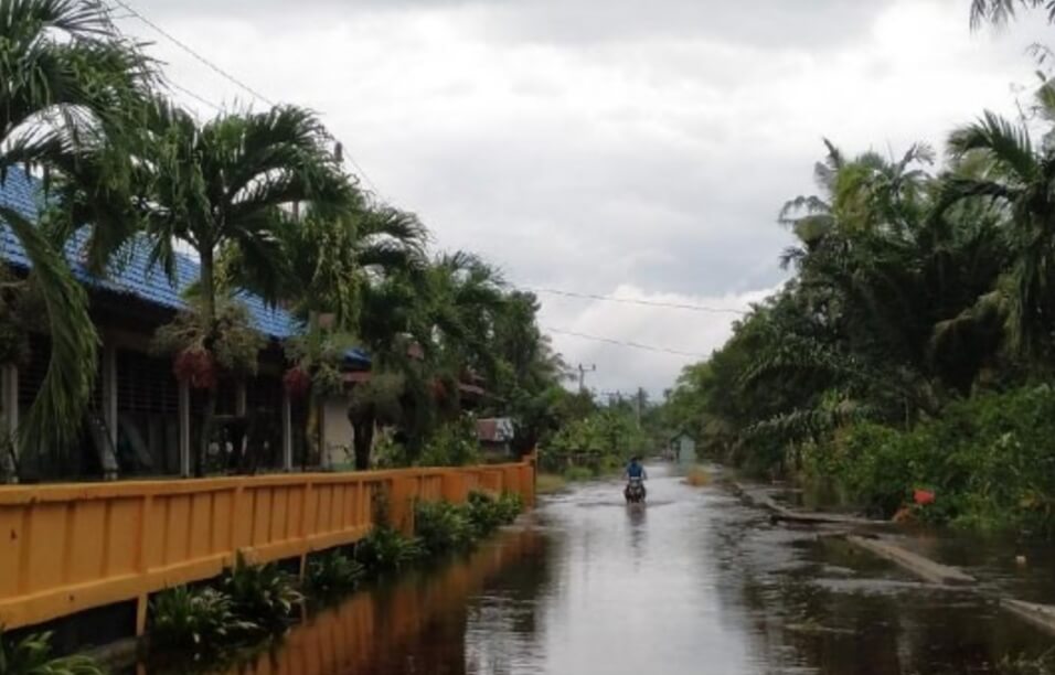 Desa Teluk Latak Bengkalis, Banjir Setelah Diguyur Hujan Lebat