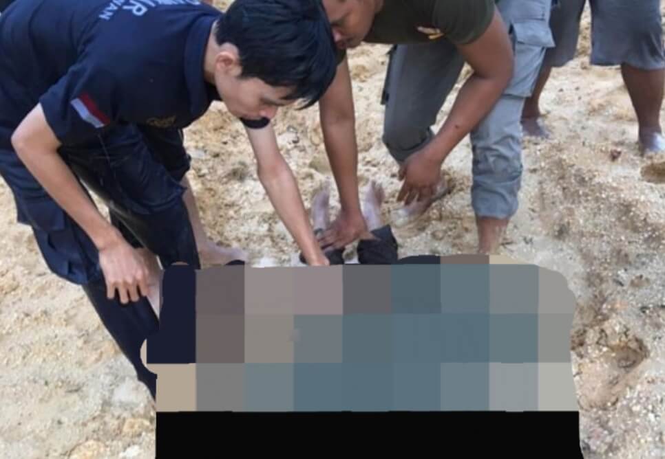 Di Pelalawan, Murid SD Ditemukan Tak Bernyawa Akibat Tenggelam di Kolam saat Perkemahan