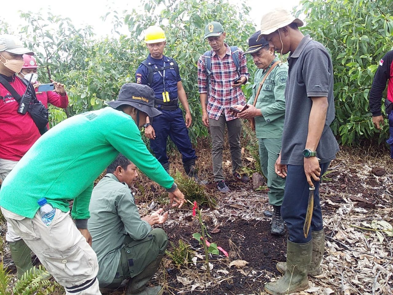 Diduga Diserang Harimau, Bocah Perempuan 12 Tahun Tewas di Inhil Riau