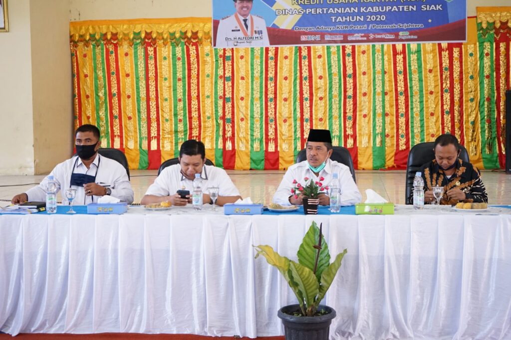 Dukung Peningkatan Produksi Pertanian, Bupati Alfedri Ajak Petani Manfaatkan Program KUR