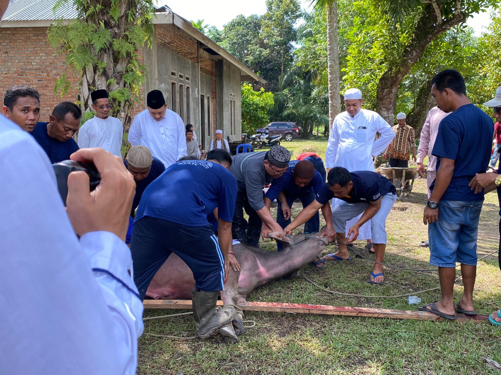 Ikut Sembelih Hewan Kurban, Ketua DPRD Siak Indra : Sebagai Pengingat Akan Ketaatan dan Kecintaan Kepada Allah SWT