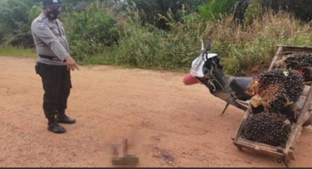 Kaki MM Putus Diparang JG Karena Diduga Mencuri Kelapa Sawit