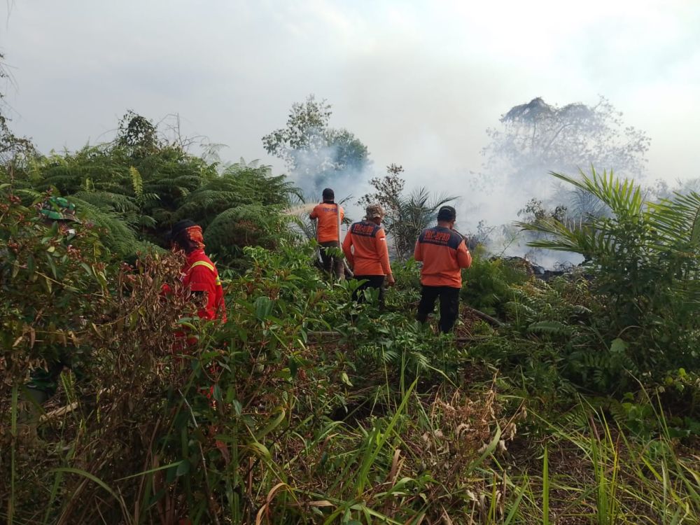 Karhutla Masih Membara di Riau: Tim Gabungan Terus Berjibaku di Pulau Mendol Pelalawan