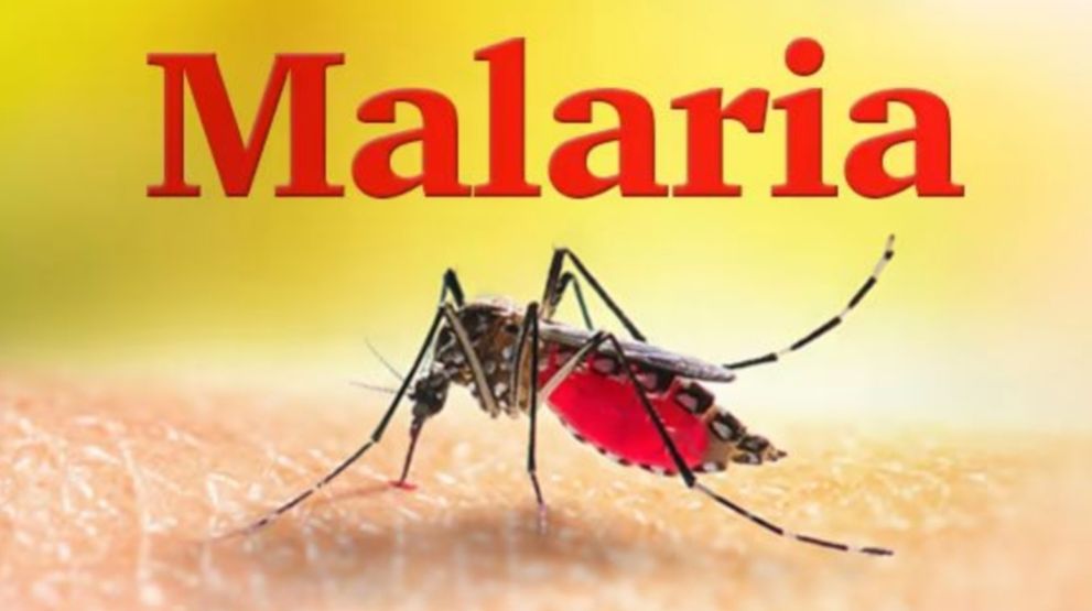 Kasus Malaria Meningkat di Inhil, Pemerintah Tetapkan Status Kejadian Luar biasa