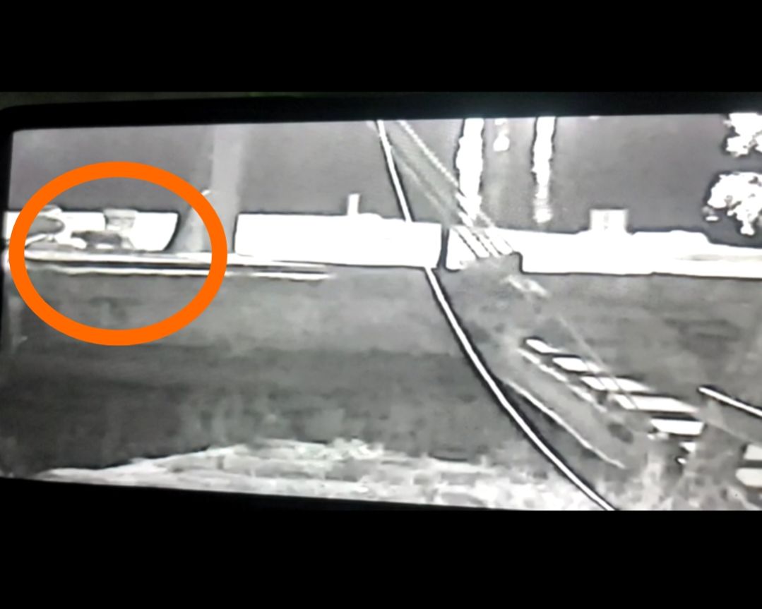 Kemunculan Harimau di Pemukiman Warga Suak Lanjut Siak Terekam Kamera CCTV 