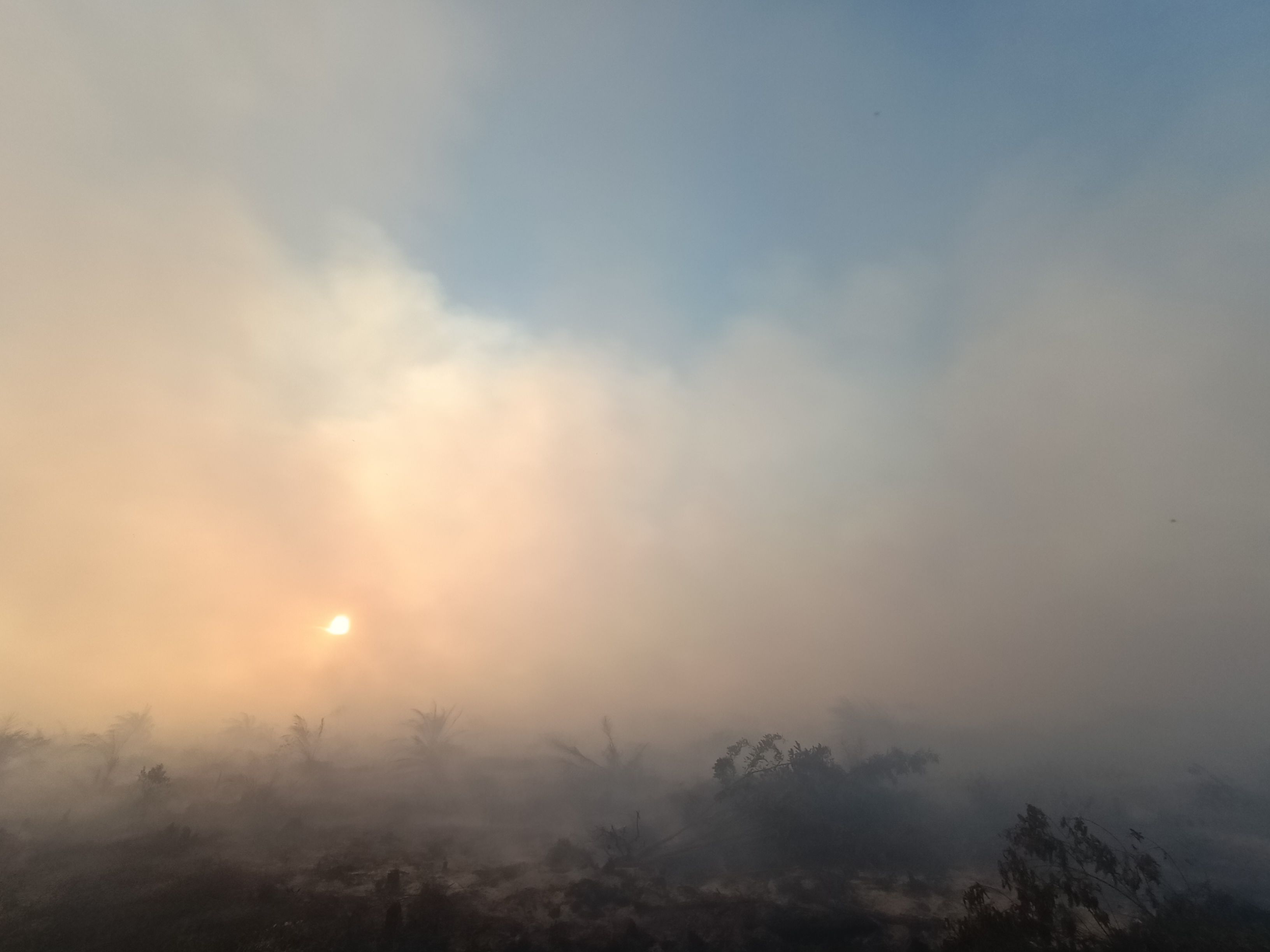 Lahan Terbakar di Bunga Raya Disebut Masuk Wilayah HGU PT TKWL
