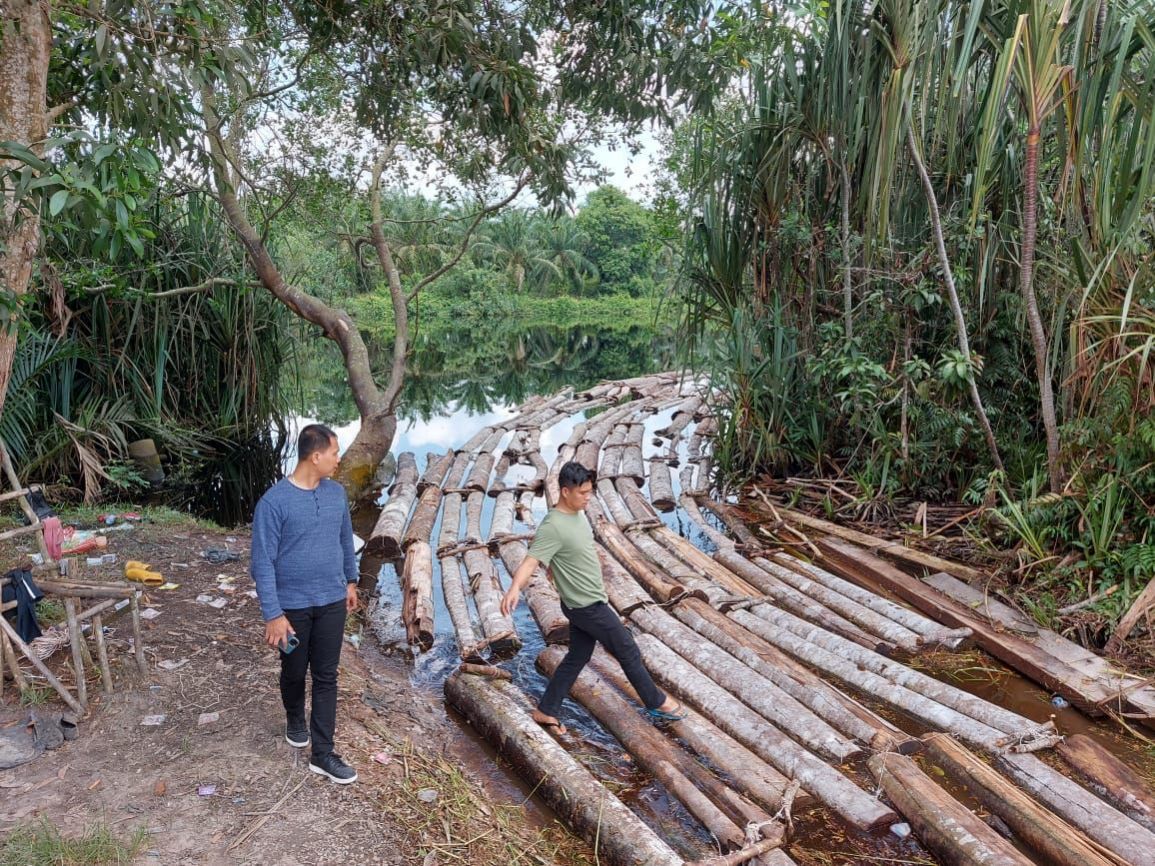 Mafia Kayu Anak Jenderal di Bengkalis Digulung Polda Riau