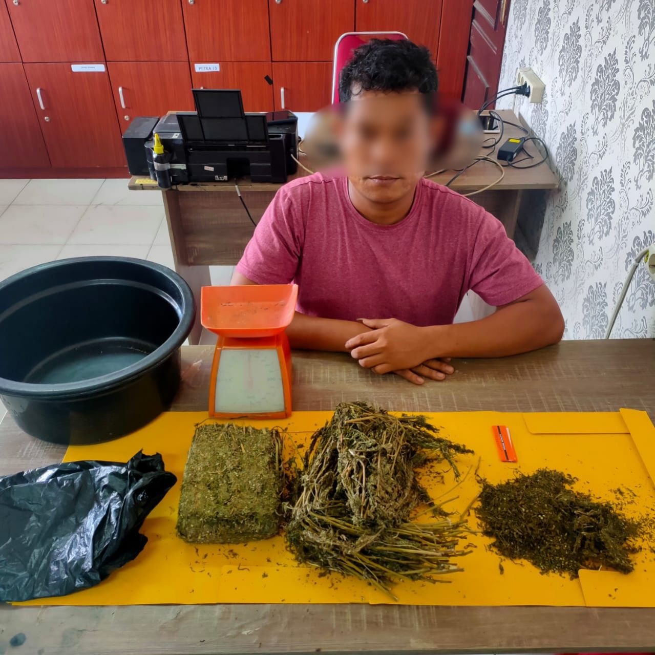 Pengedar Ganja di Siak Tertangkap, Polisi : Pemain Lama 