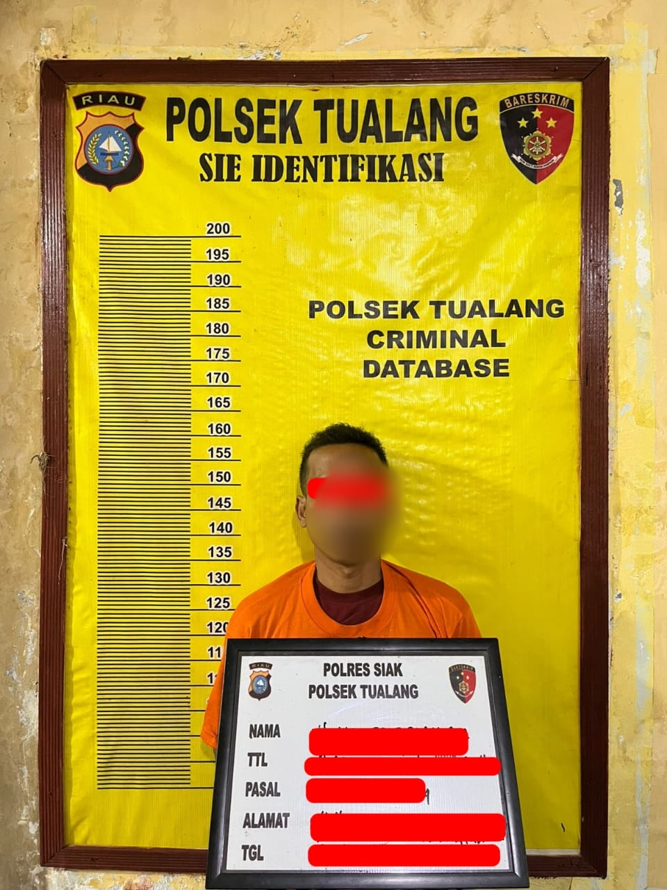 Polsek Tualang Ringkus Pencuri TBS di PT SIR, Kerugian Capai Rp 8 Juta