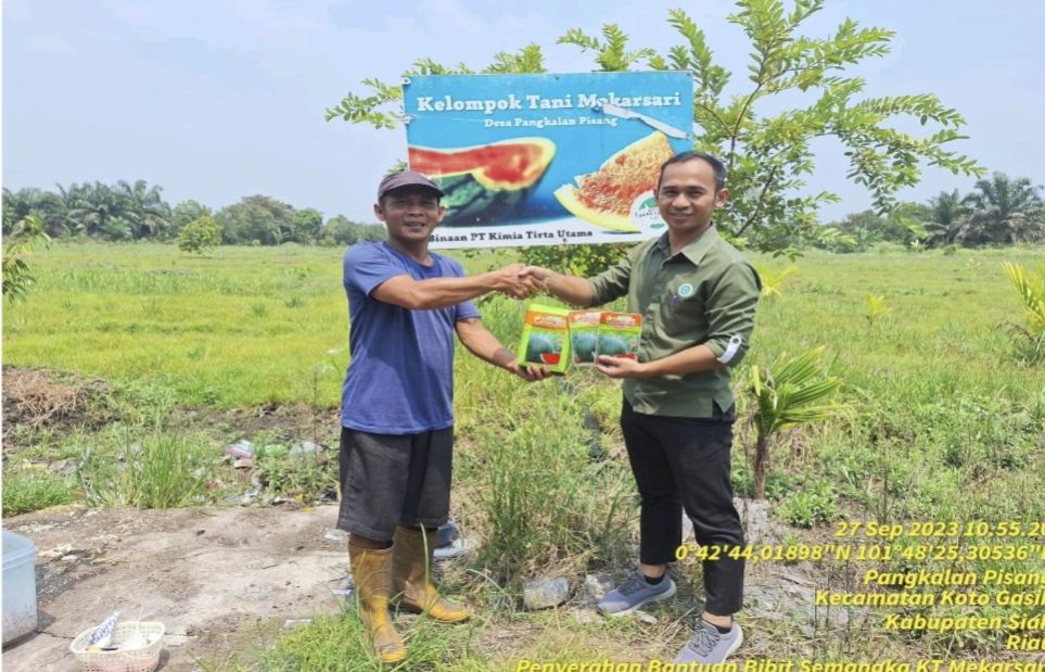 PT KTU Bantu Bibit Semangka dan Pupuk Organik untuk Kelompok Tani di Koto Gasib