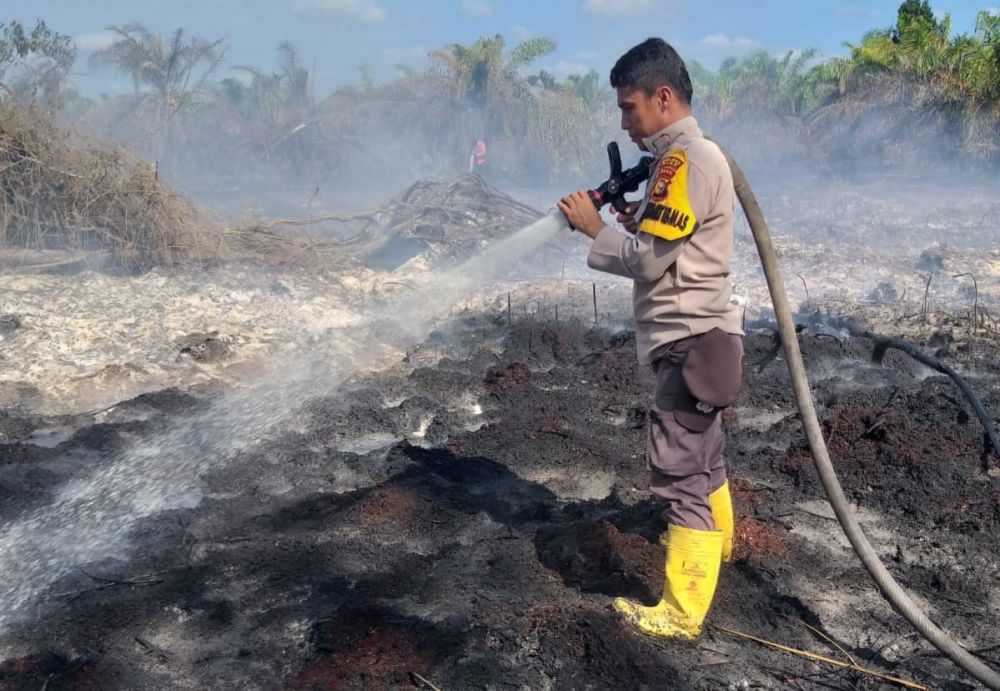 Riau Tetapkan Status Siaga Karhutla
